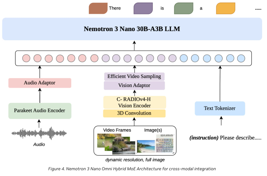 Nemotron 3 Nano Omni architecture